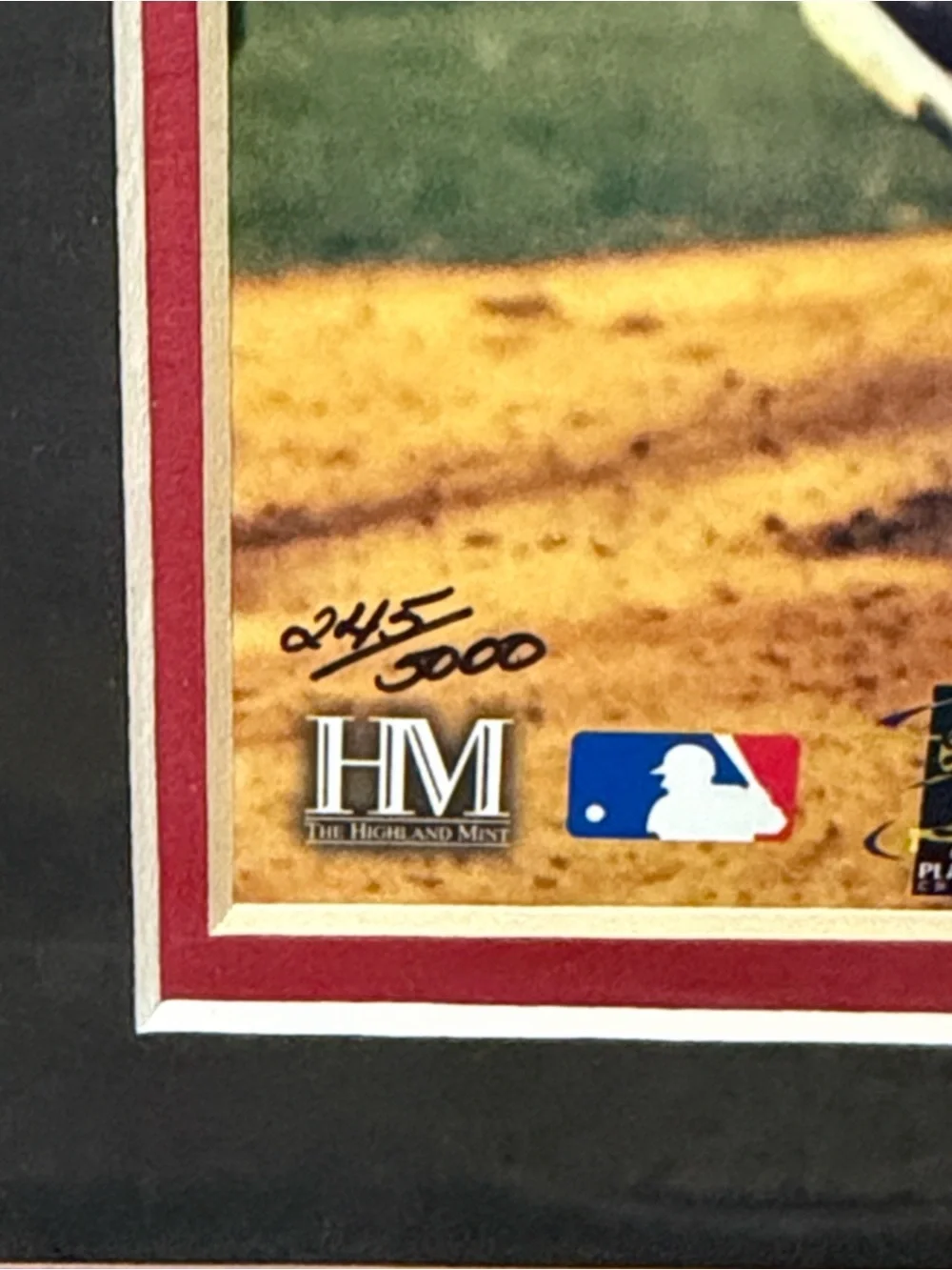 2005 Champions Framed Photo Plaque - Black/Red Houston Astros